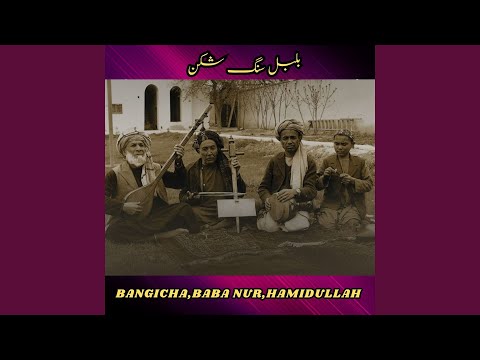 بلبل سنگ شکن