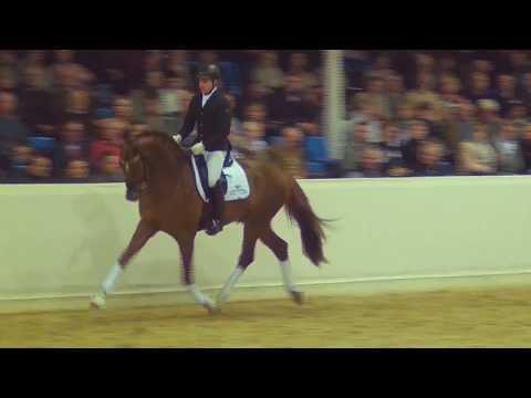 LA VIE - Hengstschau Vechta 16.02.2018