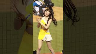 20250302 日本火腿交流賽 邊荷律변하율　陳俊秀應援　#中信兄弟啦啦隊 #passionsisters #台湾チア　#cheerleader