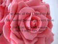 Two Dozen Roses lyrics