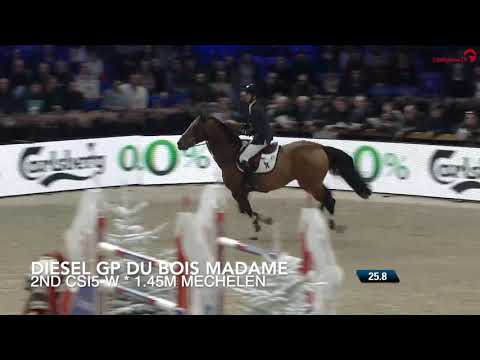 DIESEL GP DU BOIS MADAME- 2ND 1.45m CSI5*-W Mechelen Stallion Competition