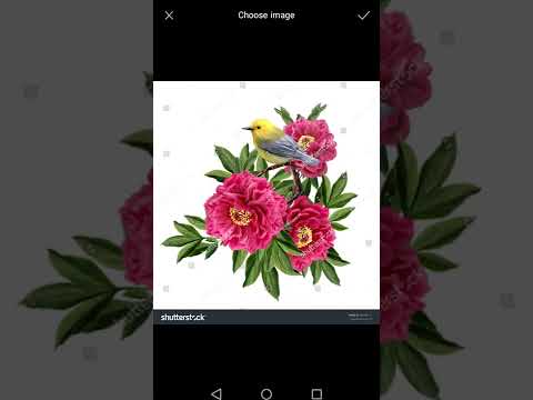 Age Calculator Video