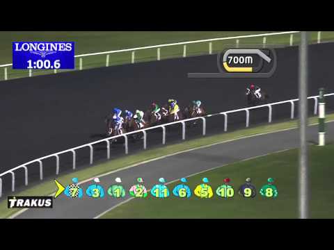 13.02.2014 Meydan (Dubai-UAE) 2.Race UAE 2000 Guineas 2014 - Group III 1.600 m