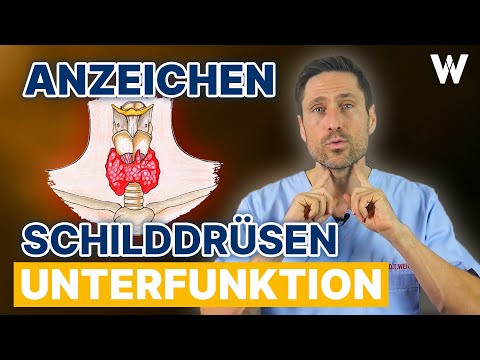 Schilddrüsenunterfunktion: Treten diese Anzeichen bereits auf? Häufige Symptome bei Hashimoto kennen