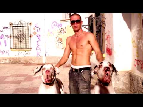 MSGB CON JULITO PRO - DOGGZ FOR LIFE [LACOSTA FILMSS]