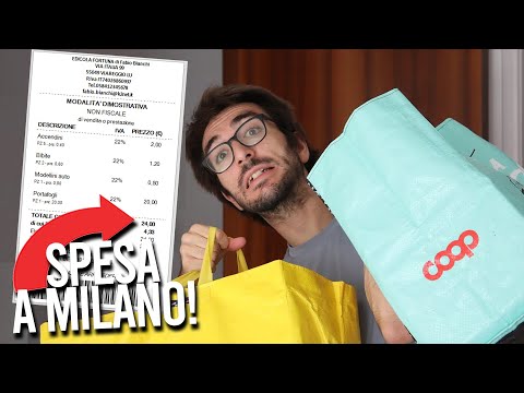 QUANTO COSTA FARE la SPESA a Milano