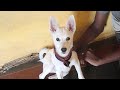 Sagunthala Ss Kumar Is Live