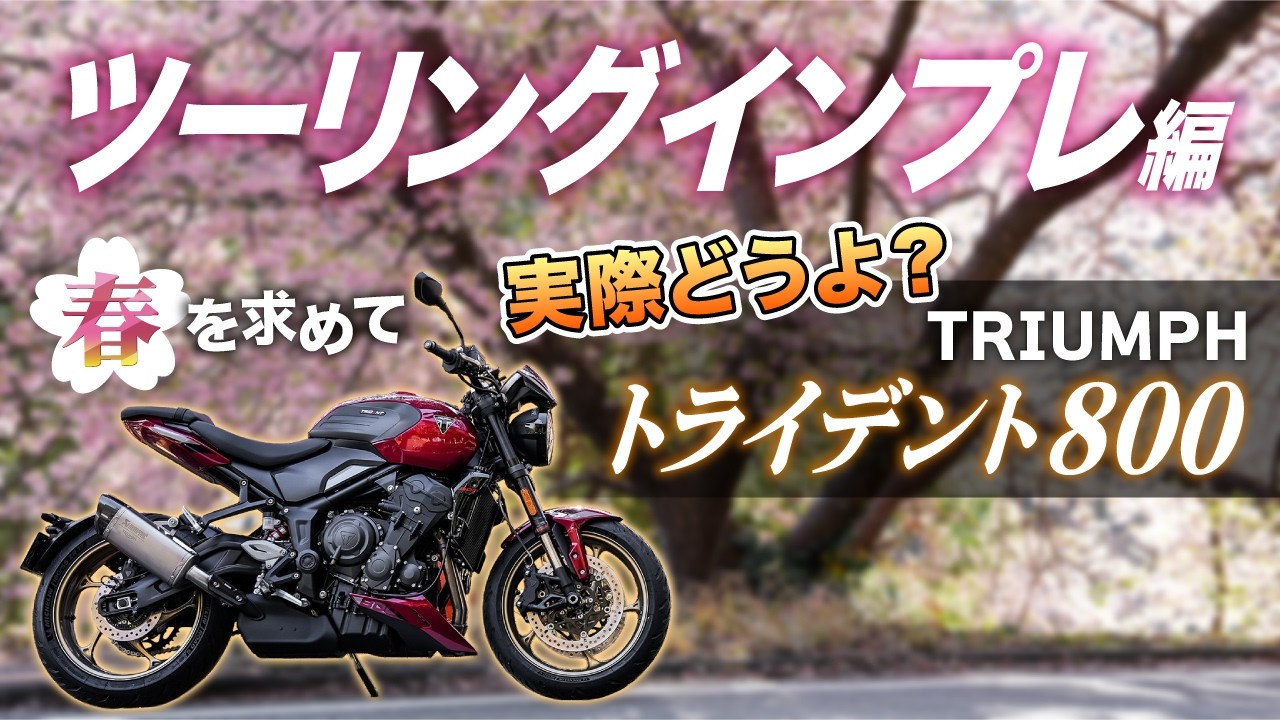 【試乗】トライデント800で春を求めて伊豆・河津ツーリング｜Triumph TRIDENT800【モトブログ】