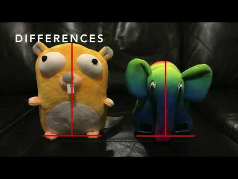 DPC2019: Get GOing with a New Language - Kat Zień