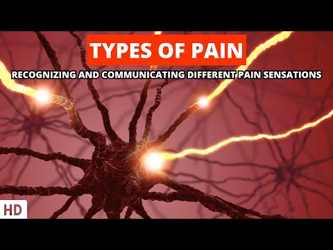 All About Allergy Shots