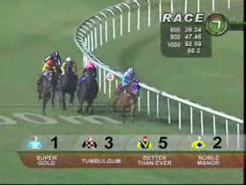 (新加坡) 三環錦標 Three Rings Trophy-- 六戰六捷「最美好」(29/1/2010)