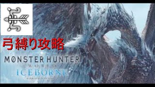 【MHW:IB】　弓修行　アイスボーンストーリー攻略3
