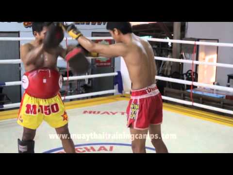 Yodkhunpon moo Sitmonchai on pads