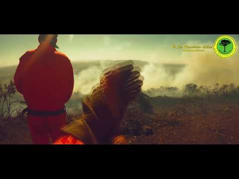 Unisciti a noi nella lotta contro gli incendi boschivi!