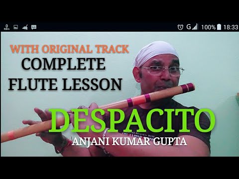 Despacito | Louis Fonsi |Ft.Daddy Yankee | Edited | Notations Available | Complete Flute Lesson