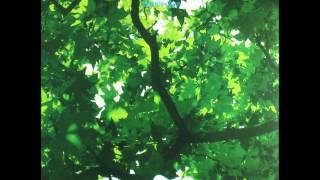 THE JASMINE MINKS - VERONICA