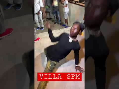 HENDRY WAY #villaspm #shorts #flow28 #jezzy #rochyrd #tivigunz #alofoke #hendryway  #MYNOLFND