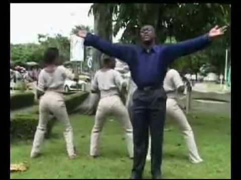 sergeo polo   petit patou