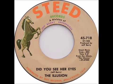 The Illusion - "Did You See Her Eyes?" (1969)