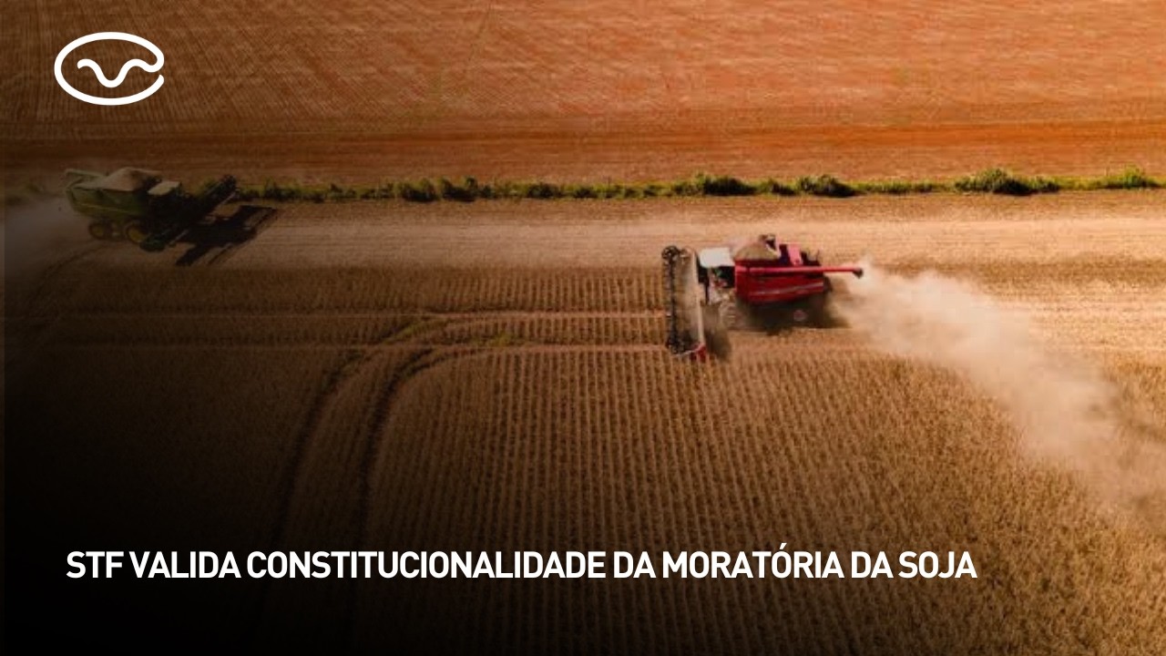 STF valida constitucionalidade da moratória da soja
