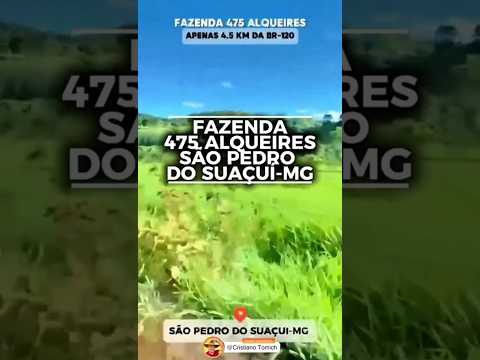 EXCELENTE PROPRIEDADE 475 ALQUEIRES SAO PEDRO SUAÇUI-MG R$ 26.125.000,00 #gado #fazenda #agro #luxo