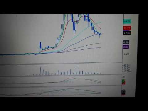 Analiza spolki Biomed Lublin na pondz 11.01.2021r