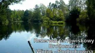 preview picture of video 'Rezerwat torfowiskowy Brodoszurki Winne - Podbukowina'