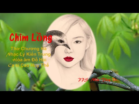 Chim lồng Sheet - Cao Huy Thế