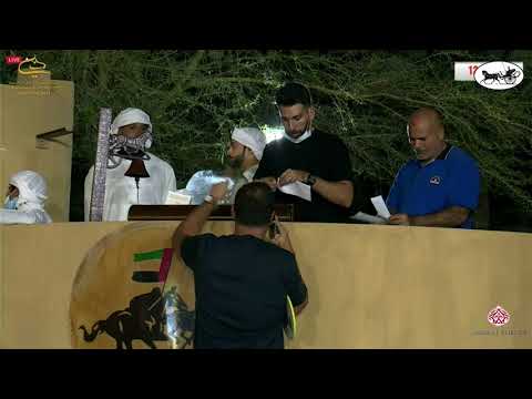 Dubai Stud Auction 2021   Riffle