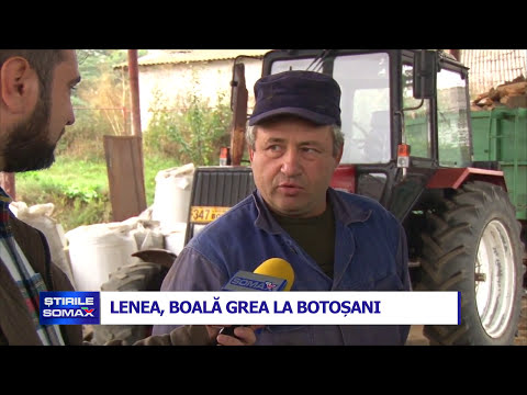 LENEA BOALA GREA LA BOTOSANI