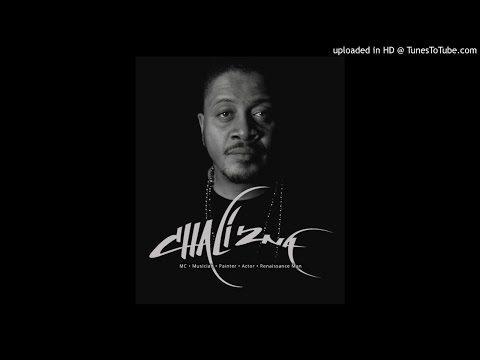 Chali 2na - The Place Ft. DJ Format; Akil