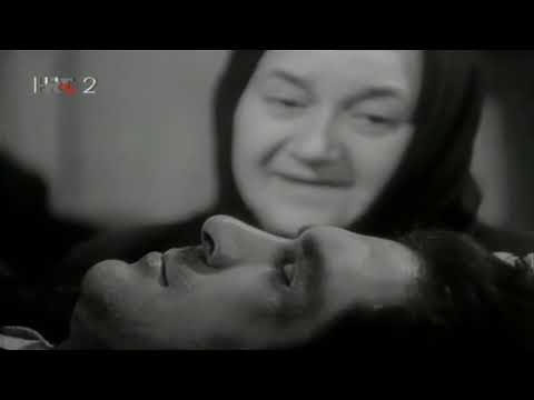 Kuda idu divlje svinje - Epizoda 8