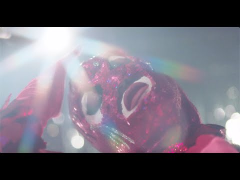 STRLING - Effortlessly (Official Music Video)