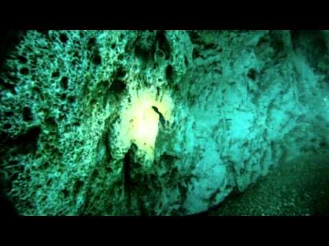 Trota in tana alle Strette di Cocciglia.MP4