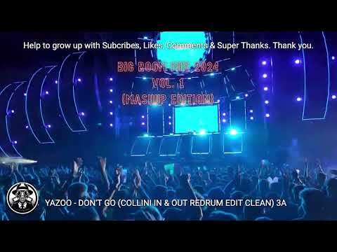 Big Room Mix 2024 Vol. 1 (Mashup Edition) | Porn Kings, Moguai, Bingo Players, Tujamo, David Guetta