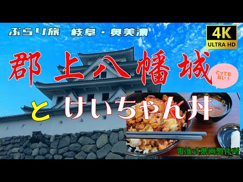 【奥美濃旅行】ひるがのSA名物「けいちゃん丼」郡上八幡城【ぶらり旅】