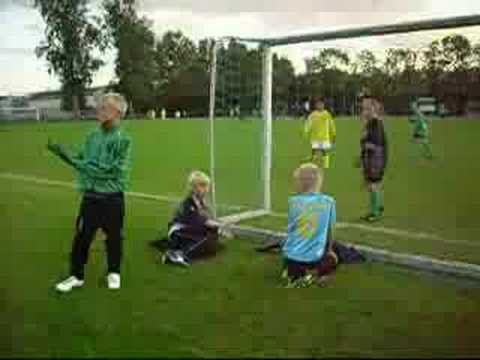 SVW 27 E1- Westfriezen E1