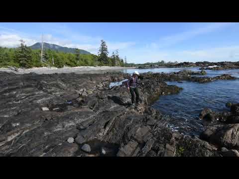 Intertidal zone, Tatchu Peninsula, Vancouver Island