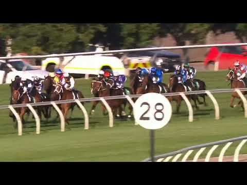 SIR DELIUS - Turnbull Stakes 2025 (4YO+ SWP G1) Group 1 Flemington 4 October