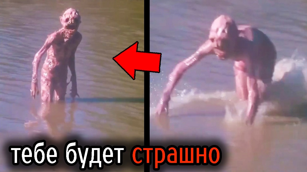 Самые Ужасные Видео со Всего Мира #150