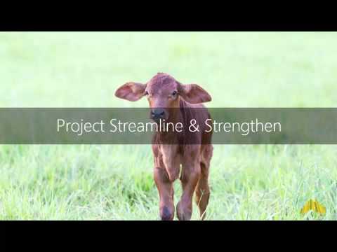 MOC Free Trade Agreements Forum - Part 2 - Tony Mahar