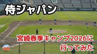 【侍ジャパン】宮崎春季キャンプ2026に行ってみた　宮崎県宮崎市　宮崎観光　ブログ　散歩
