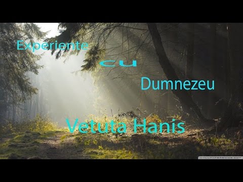 HANIS VETUTA - Experiente cu Dumnezeu - Inceputul revelatiilor Divine | Partea 1