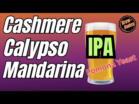 Cashmere, Calypso, & Mandarina Bavaria Hops IPA Recipe!