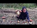 Harvesting Mushroom Deep In The Montain Enough For A Good Meal