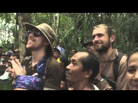 My Village, Sugar Palm