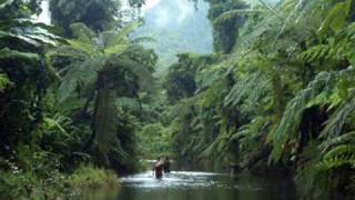 Ludovico Einaudi - Onde Corte