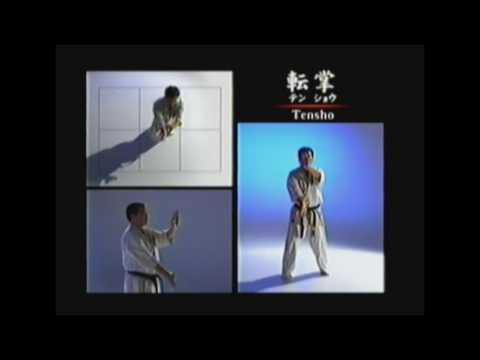 KATA SHINKYOKUSHIN KARATE