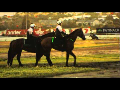 Emirates Stakes Day Preview - David Hayes