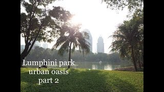 Walking silom to Lumpini Park view in Bangkok part2　【都会のオアシス】タイバンコク　ルンピニ公園を散歩　2019/11